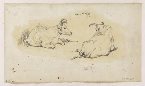 George Chinnery, Two Indian cows
