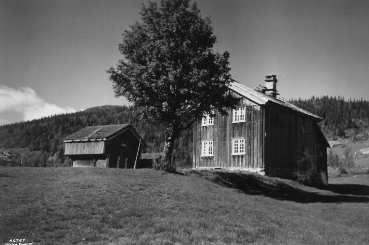 Anders Beer Wilse, Bebyggelse, Hoydalsmo