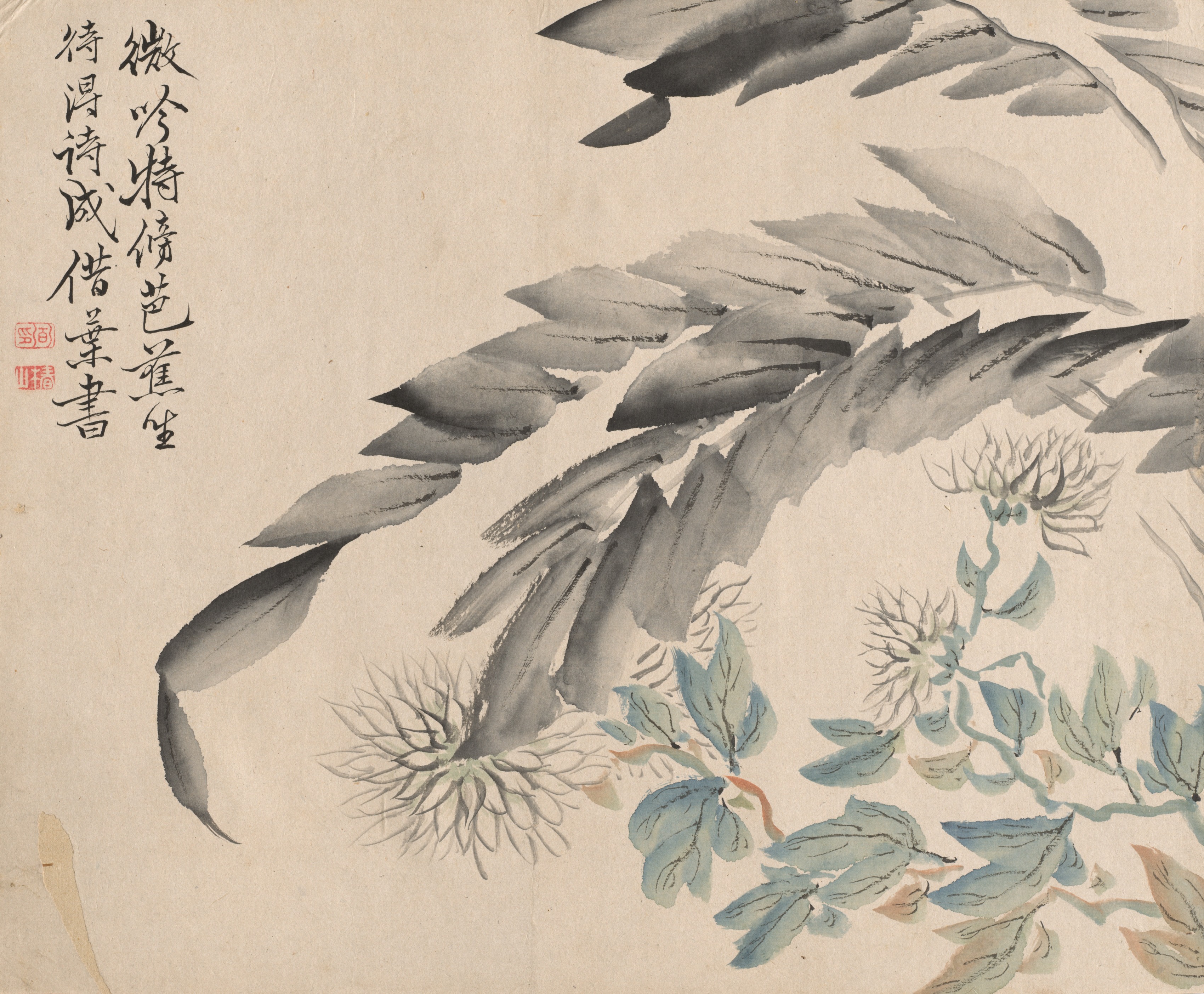 Tsubaki Chinzan, Banana Plant and Chrysanthemum