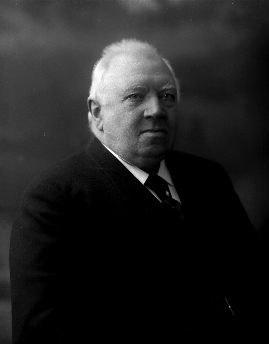 Gustav Borgen, NFB.10852
