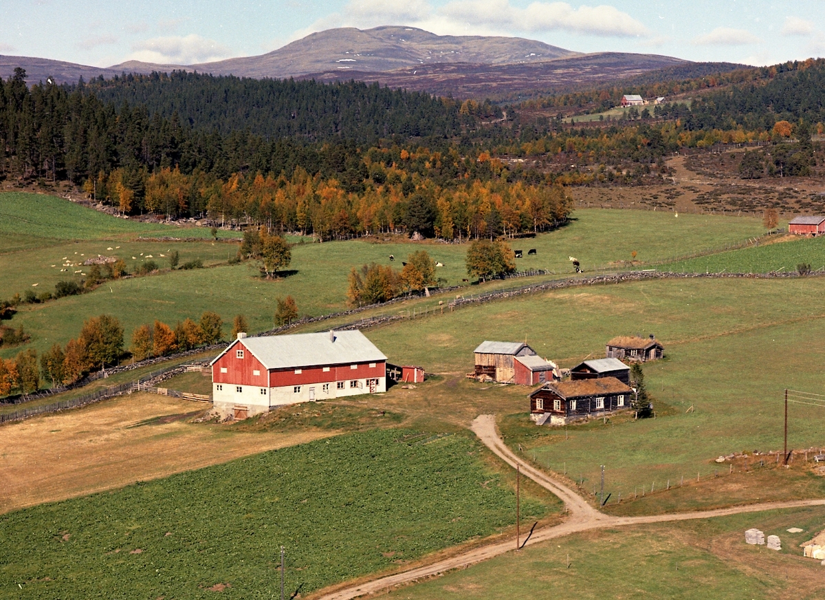 Widerøes Flyveselskap A/S, Flyfoto Dalen nordre