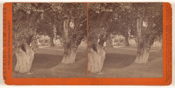 Carleton Watkins, [Lawn View, Hotel Del Monte, Monterey, California]