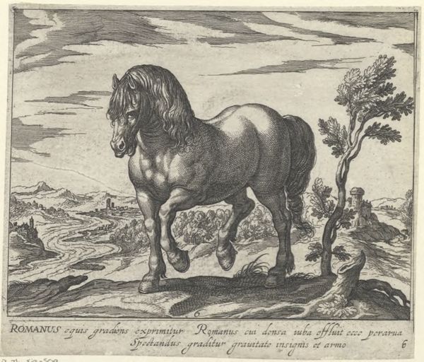 Panderen, Egbert van, (1581-1637?), (printmaker), Horse breeds: Landscape with a horse from Rome
