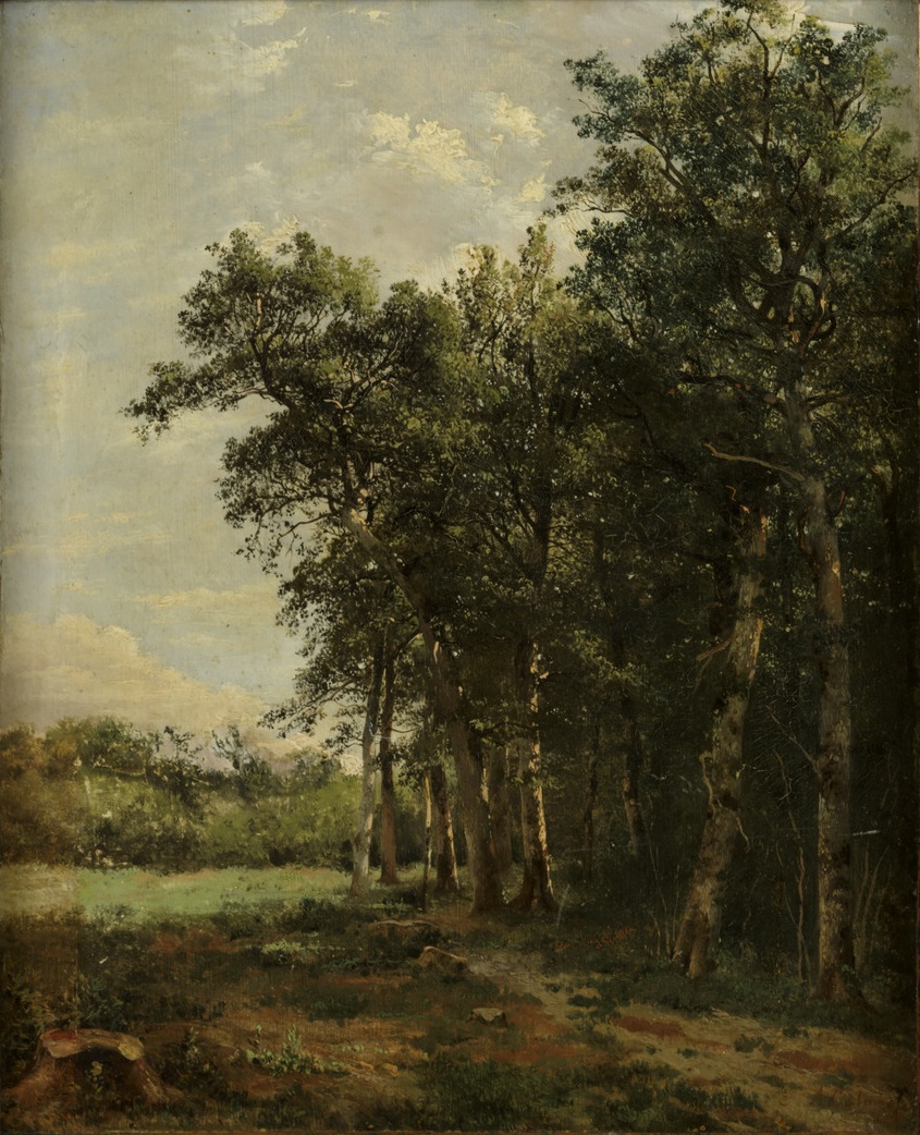 Alexandre Calame, Bosrand
