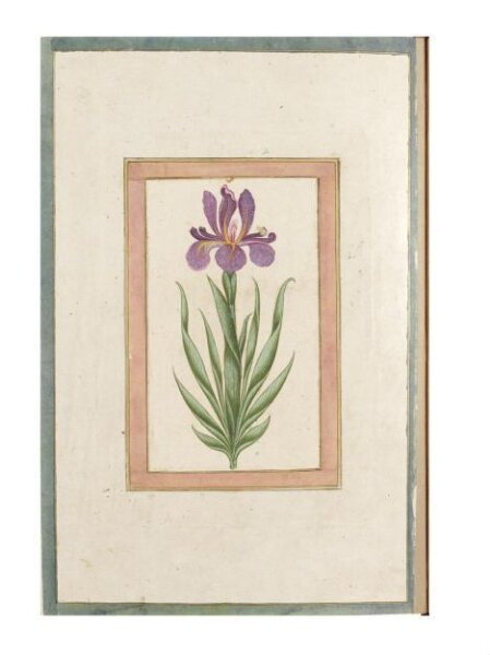 Unknown, Painting