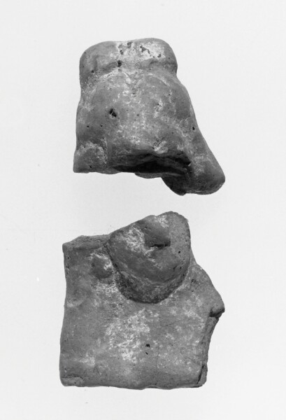 Unknown, Female Head