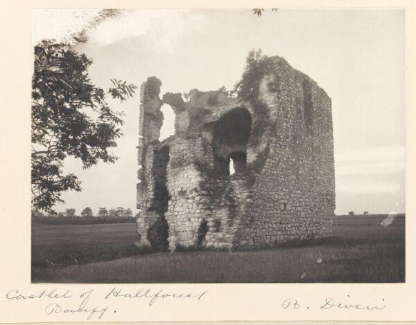 Diveri, B, National Photographic Record and Survey