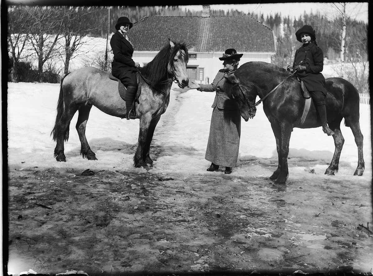 Ole Hansen Løken, LØKEN ØSTRE, RUDSHØGDA, VELDRE i Ringsaker, TO KVINNER PÅ HESTERYGGEN, UKJENTE.