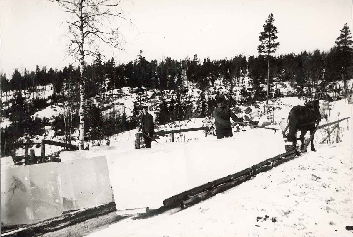 Axel Quinsgaard Wiborg, Iskjøring, Nesodden, Akershus, 1907. Arbeidere med ishaker plasserer isblokker på sleder trukket av hester. Fra serie tatt av iseksportør Axel Quinsgaard Wiborg (d. 1944).