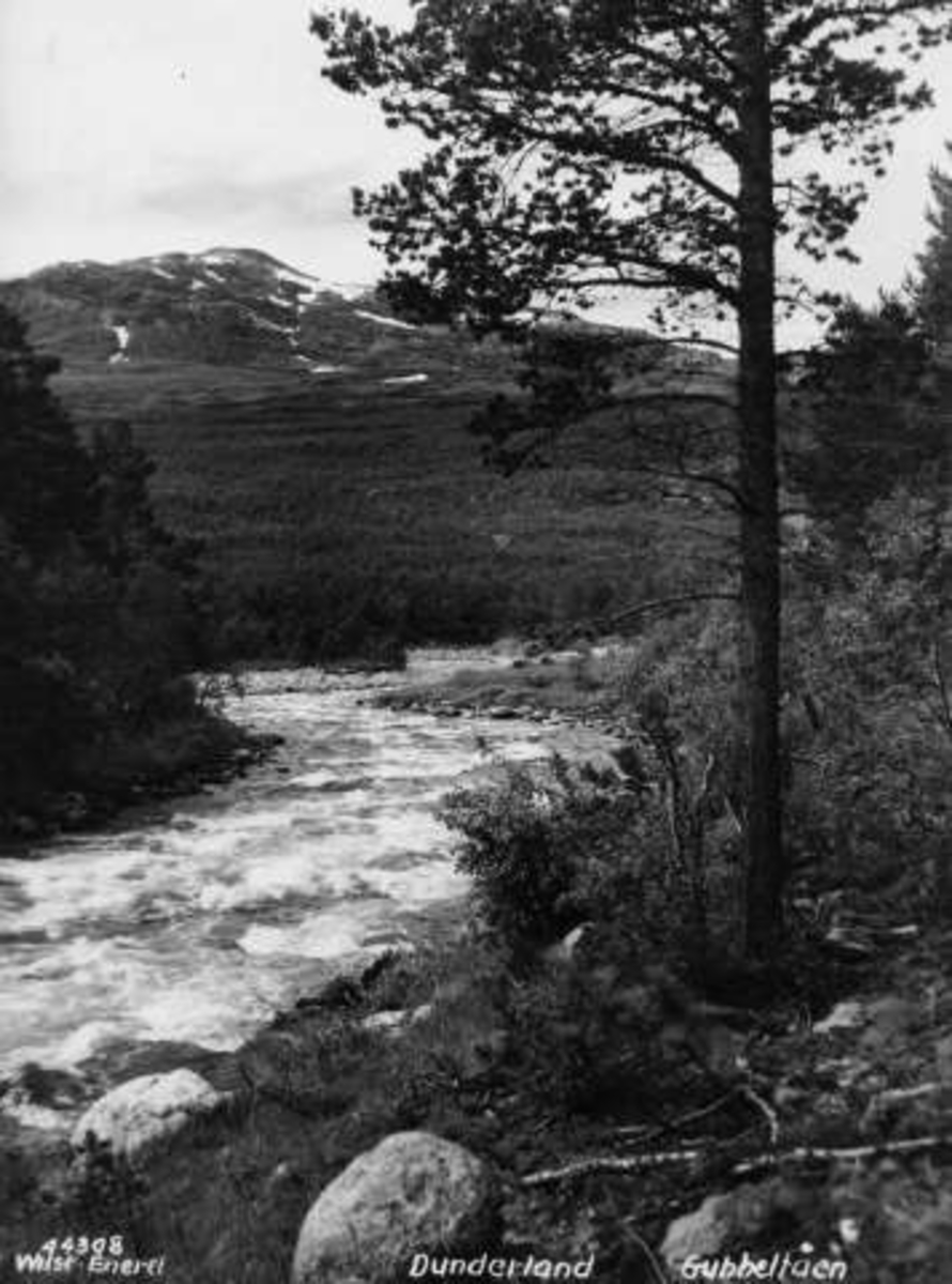 Anders Beer Wilse, -6449