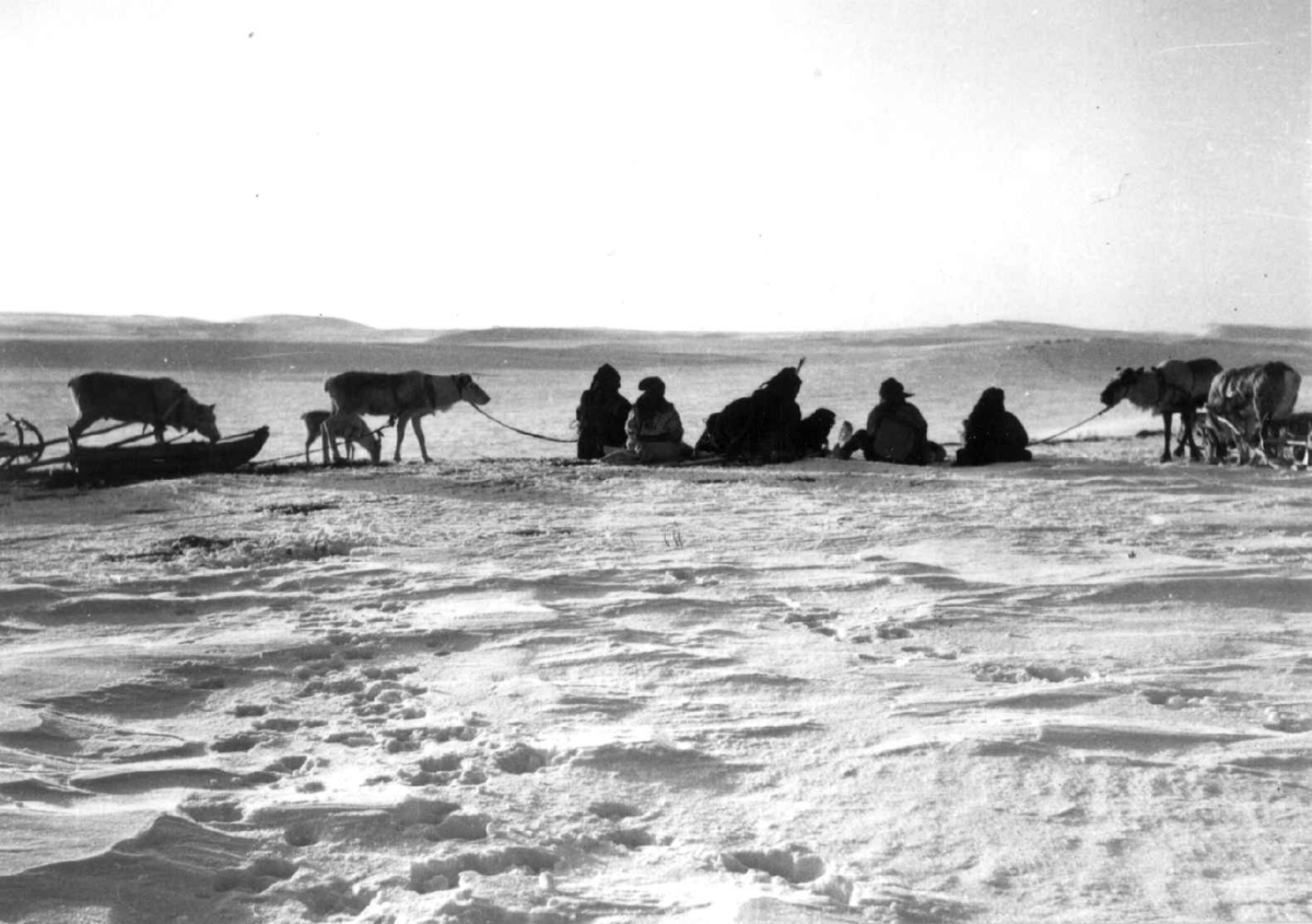 Virginia Raymond Davidson, Sara-familien på vårflytting med pulk og slede. Finnmarksvidda 1958.