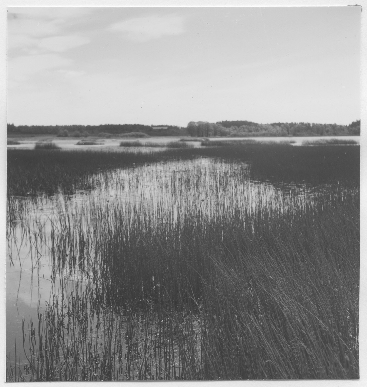 Mårten Sjöbeck, Fårsjön