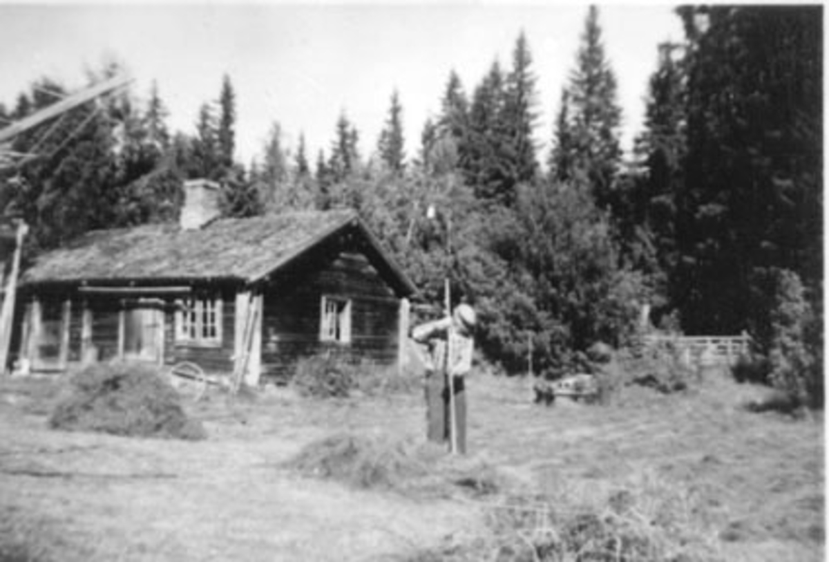Anno Domkirkeodden, HØYONN, SLÅTTONN, SKUGGERUD ØVRE, SIGURD SKUGGERUD MED RIVE, ROMEDAL