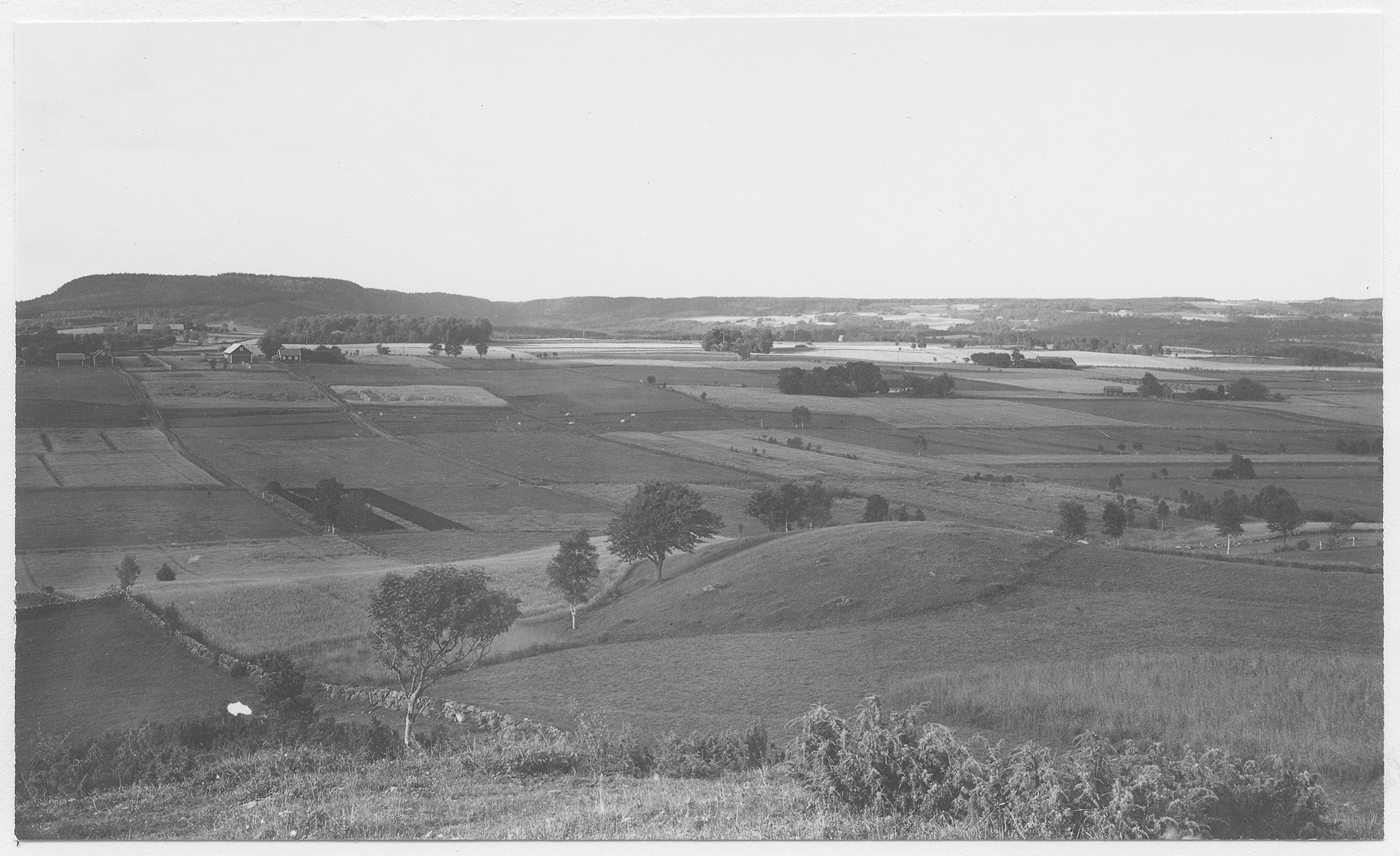 Mårten Sjöbeck, Odensberg