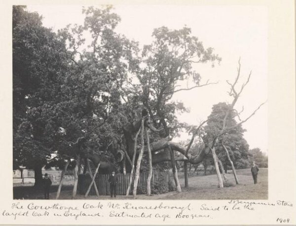 Stone, Benjamin (Sir), National Photographic Record and Survey