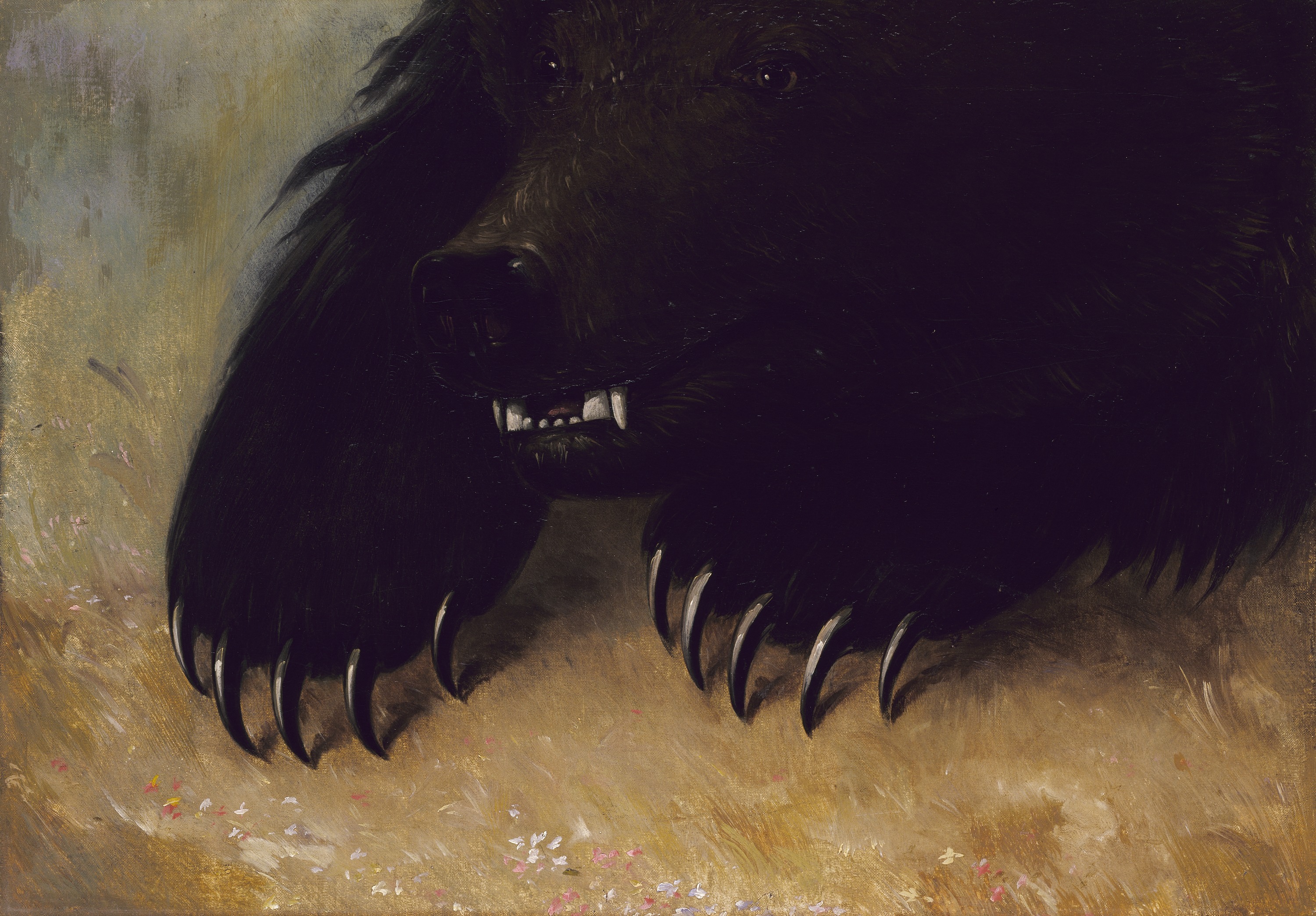 George Catlin, Weapons and Physiognomy of the Grizzly Bear