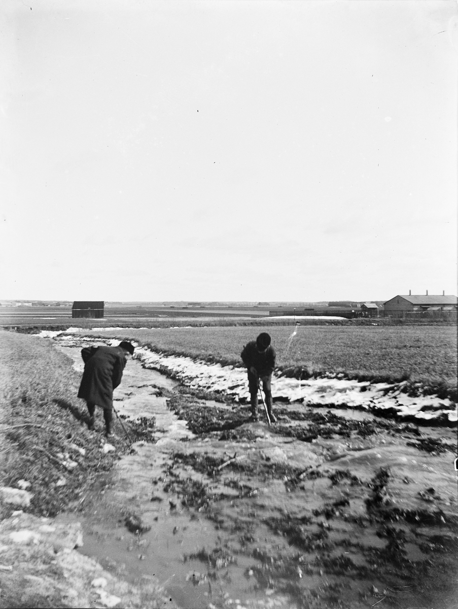 Carl Liljefors, Olle och Ivar Liljefors på gärdet, sannolikt Uppsala