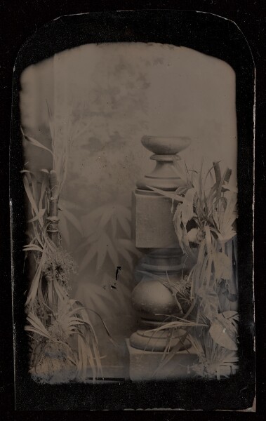 Unknown, [Studio still life of potted plants and single prop column]