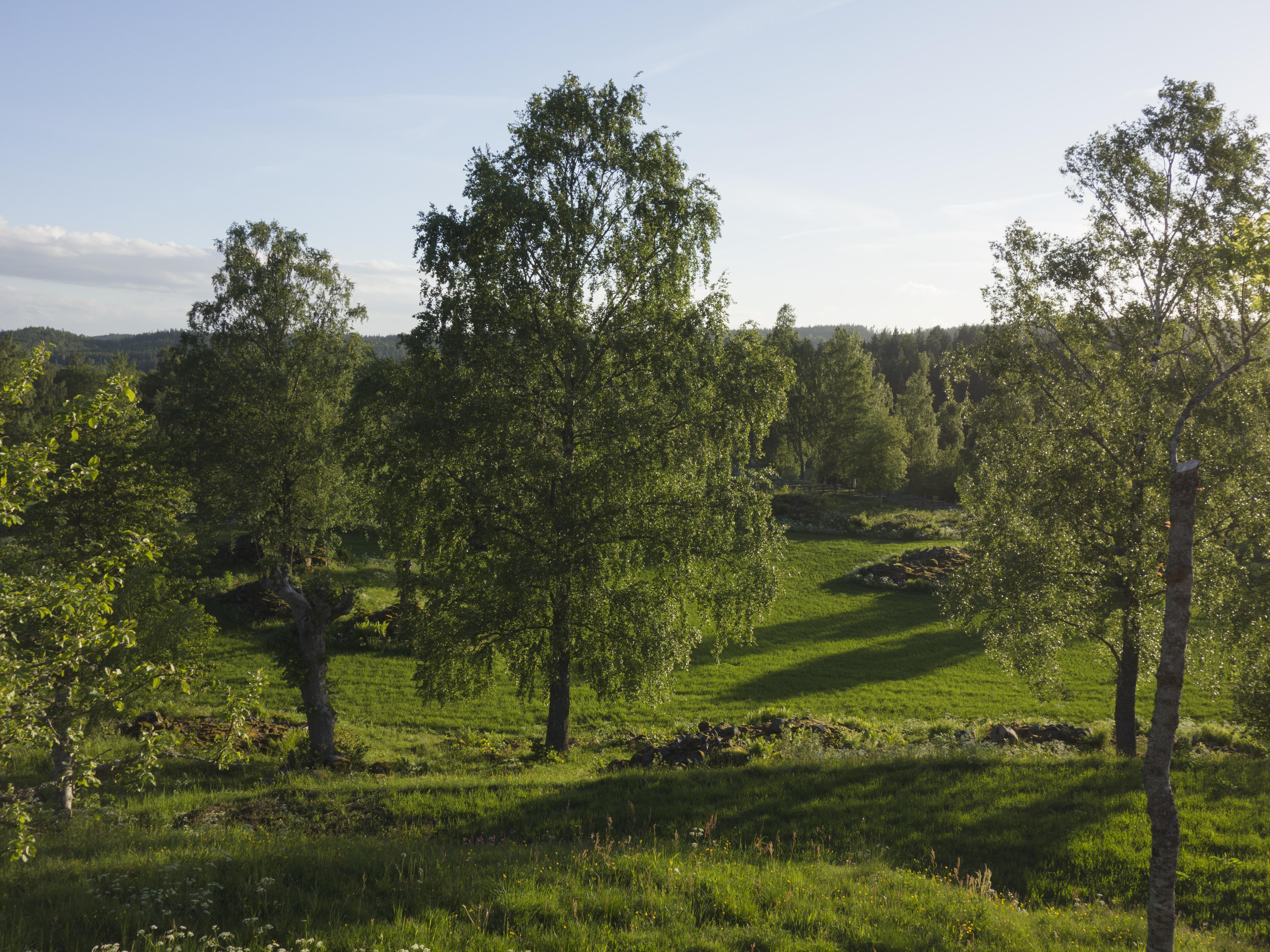 Leif Gren, Åsens by