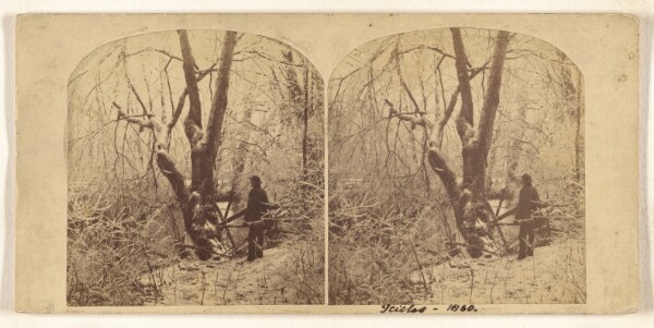 Unknown, Remarkable Formation of Icicles, Winter 1860.