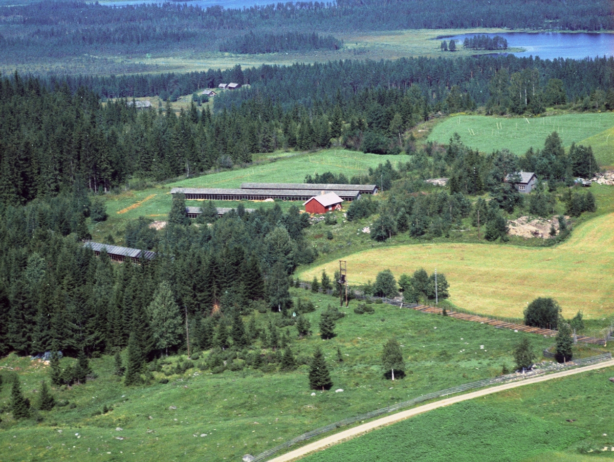 Widerøes Flyveselskap A/S, Flyfoto av Byenstuen, Brøttum, Ringsaker. Pelsdyrfarm.