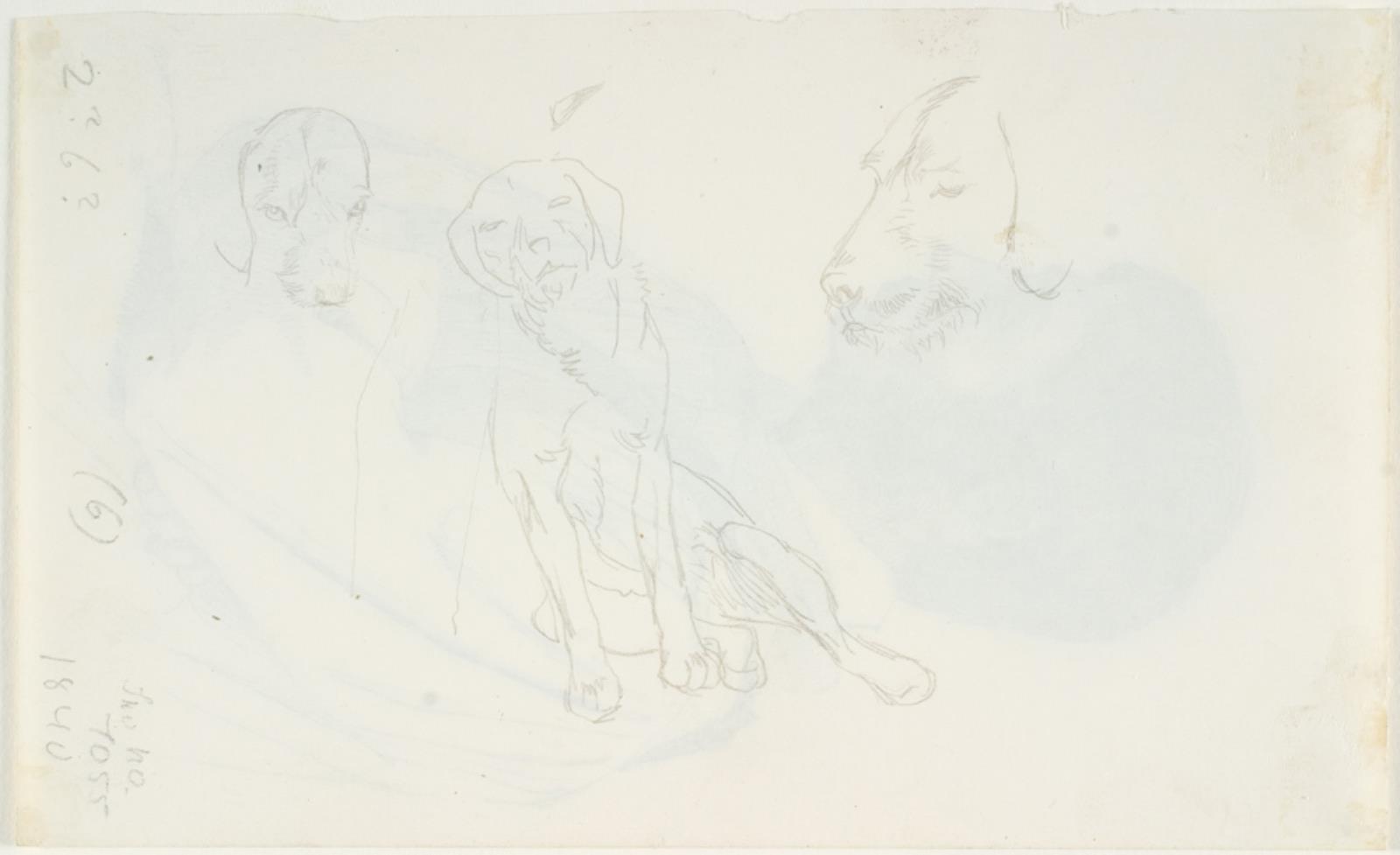 Lorenz Frølich, Studier af hund