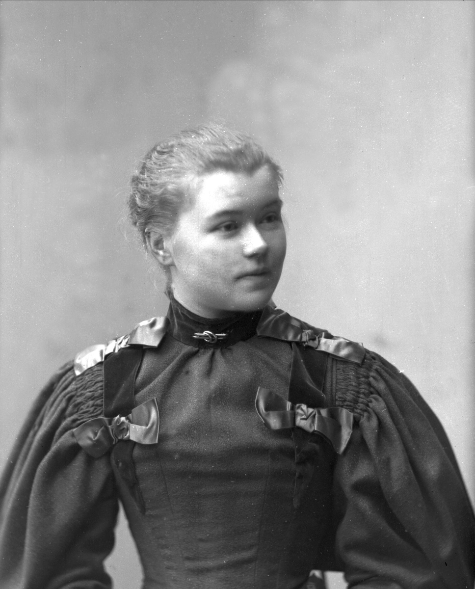 Gustav Borgen, NFB.30784