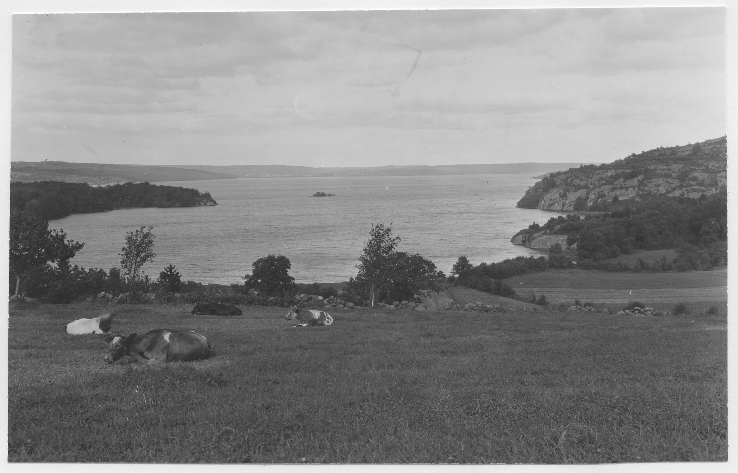 Mårten Sjöbeck, Fjärås bräcka