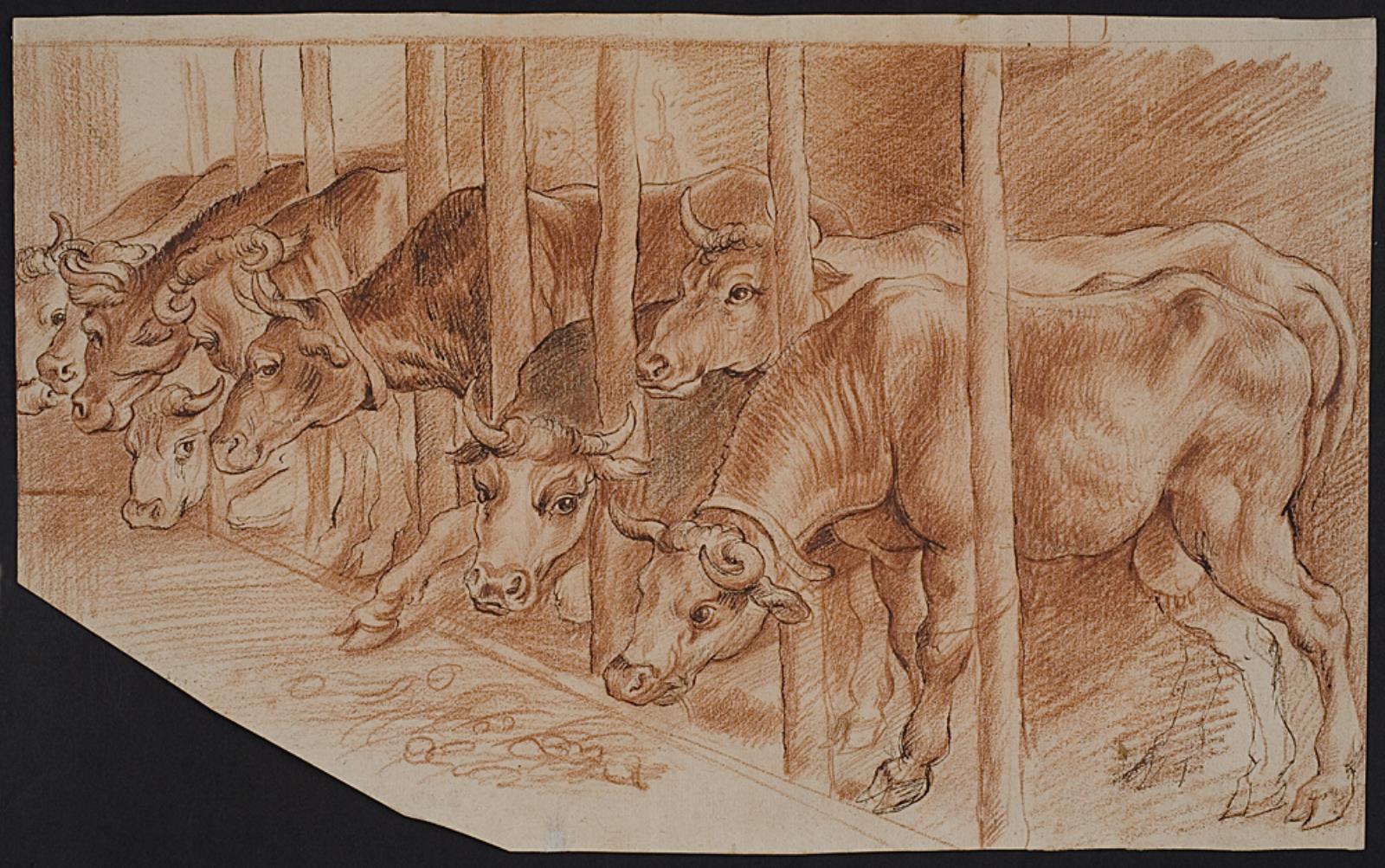 Peter Paul Rubens, Køer fra "Vinteren"