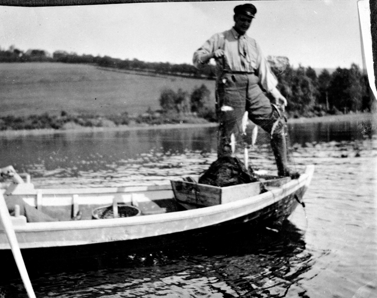 Anno Domkirkeodden, Lagsildfiske i Mjøsa. Karl B. Olssøn tar opp garn utenfor Hovelsrud, Helgøya.