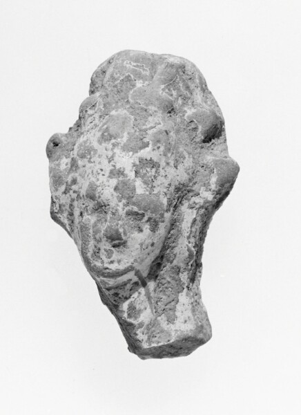 Unknown, Female Head