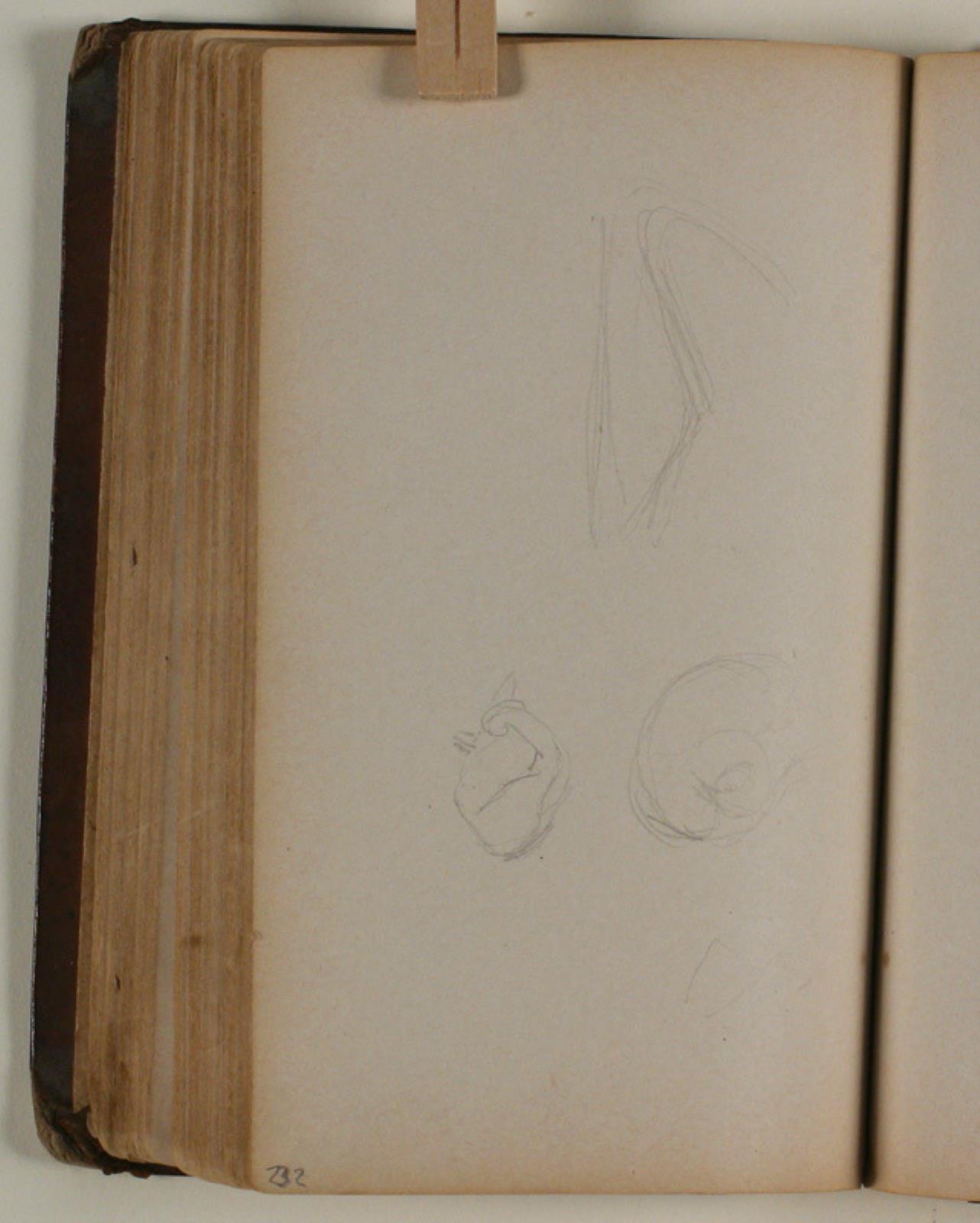 Niels Larsen Stevns, Studier af fugle