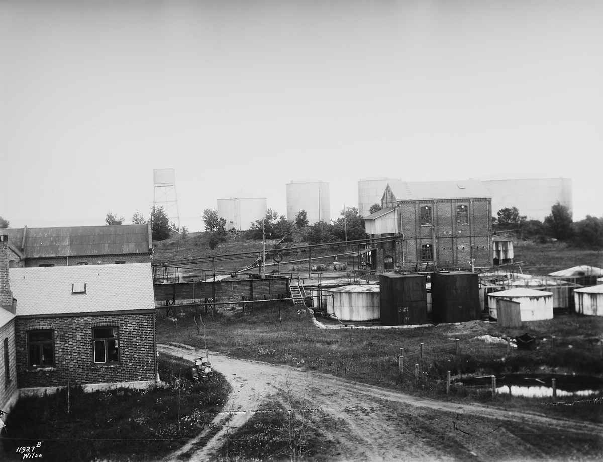 Anders Beer Wilse, NF.WB11944*A