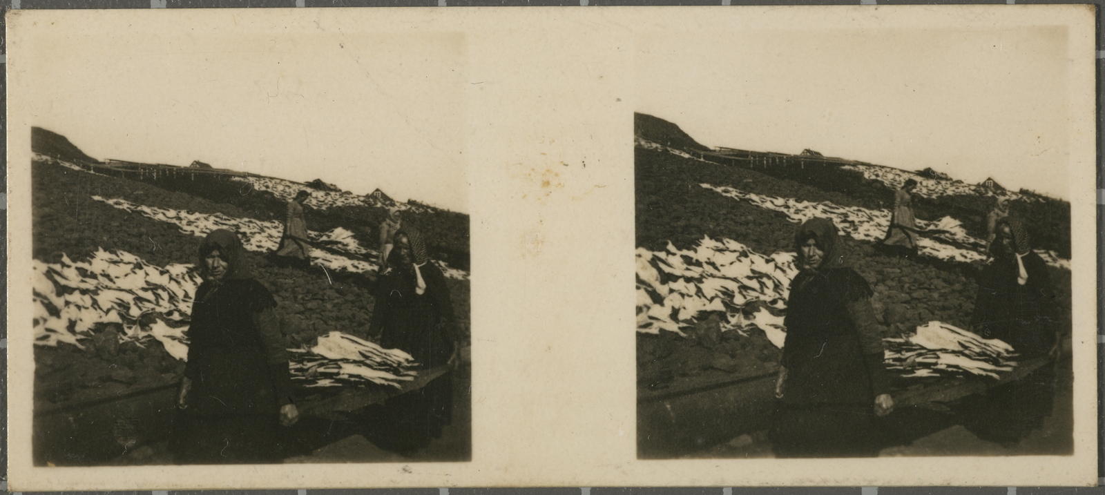 Desconegut, No. 158. Faskrudjördur - Secaje del bacalao.