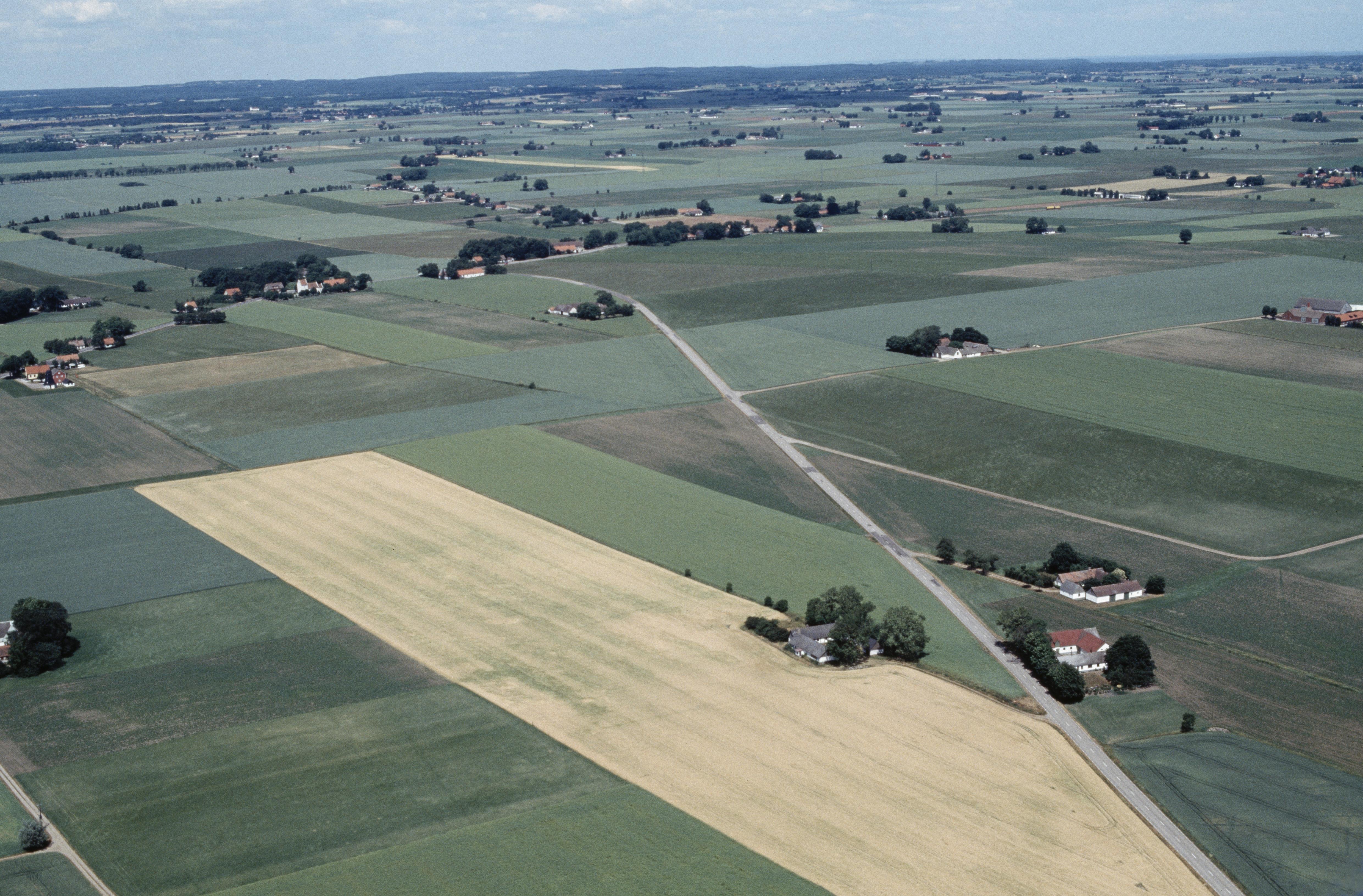 Jan Norrman, Hannas