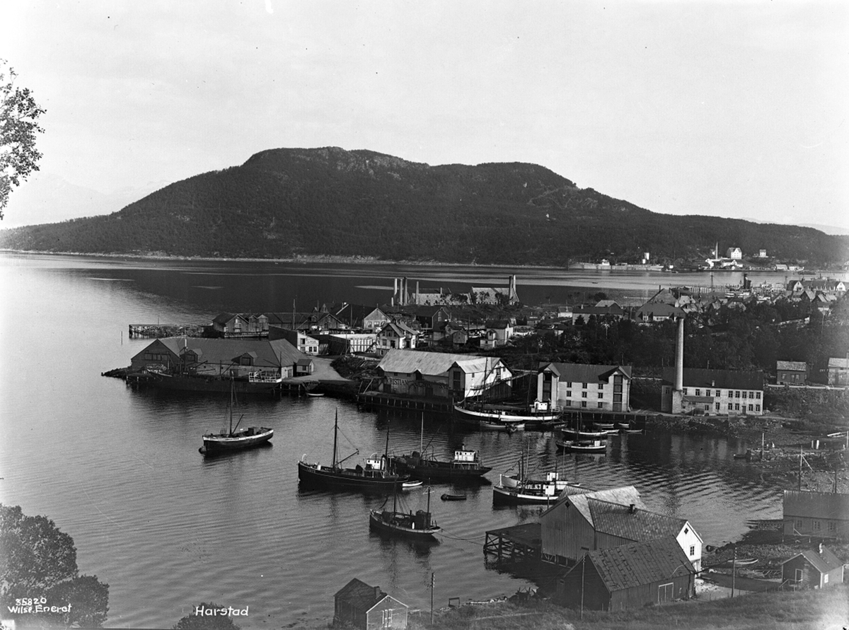 Anders Beer Wilse, Prot: Harstad