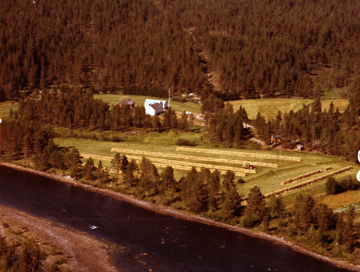Widerøes Flyveselskap A/S, Gårdsbruk.