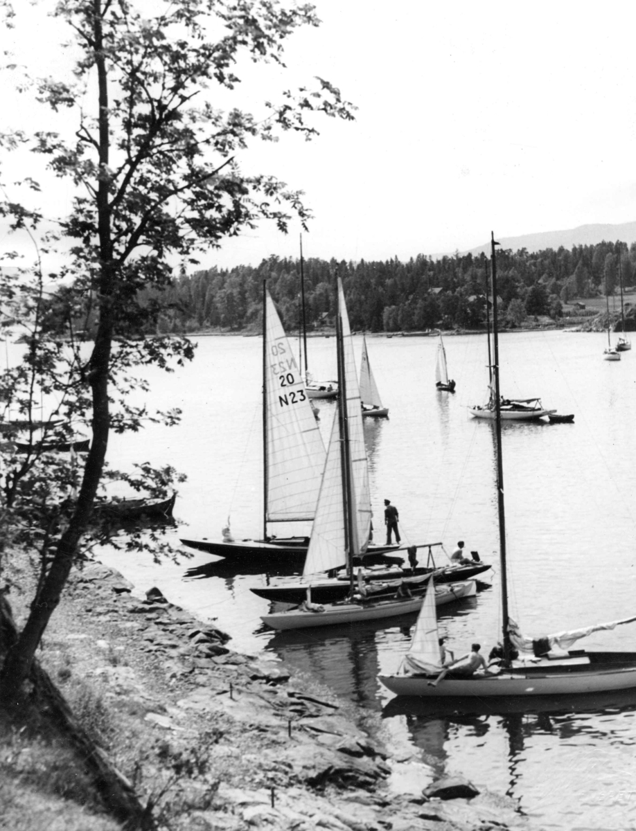 Anders Beer Wilse, Seilsport