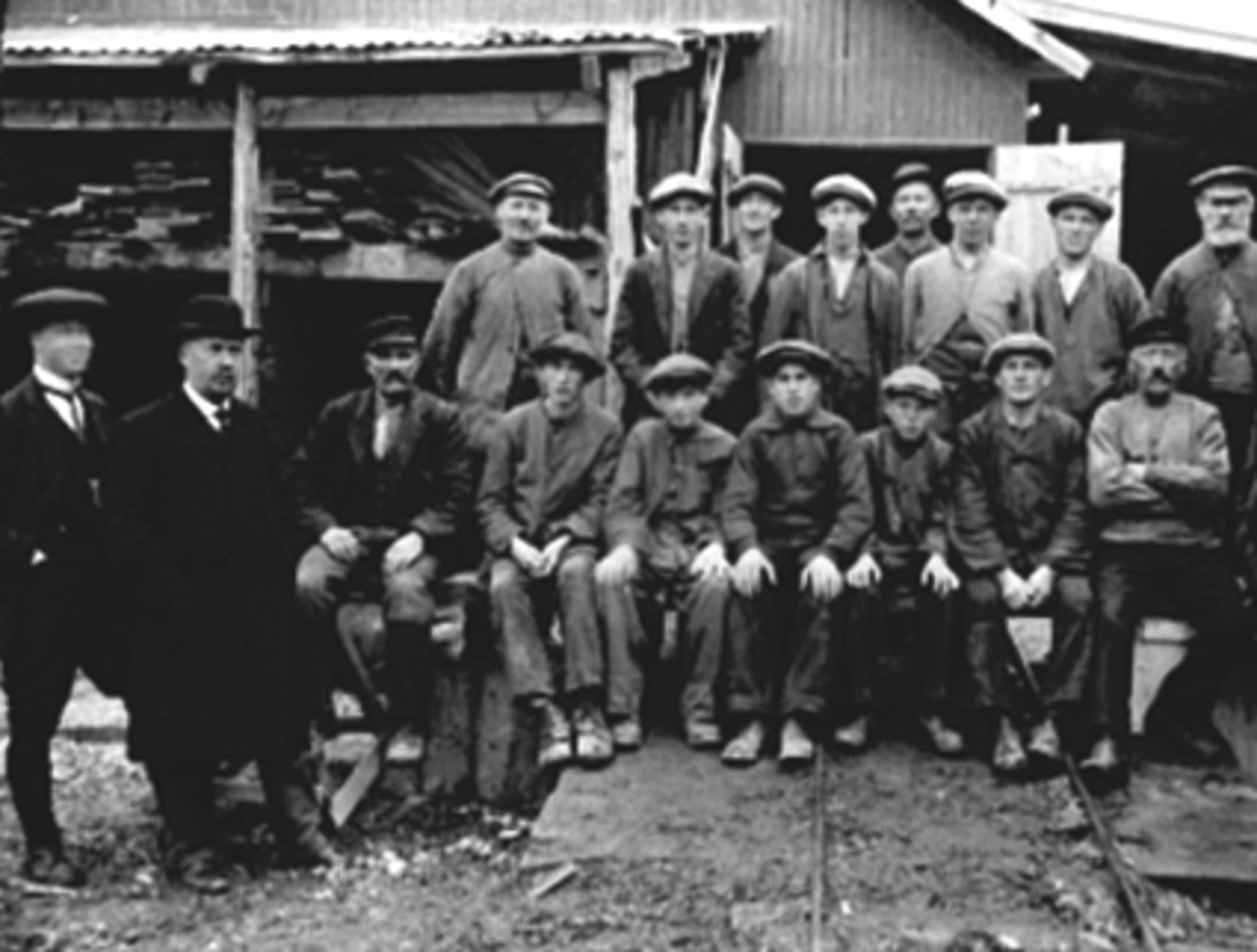 Anno Domkirkeodden, GRUPPE, ARBEIDSSTOKKEN, OPPLANDSAGA, DISEN