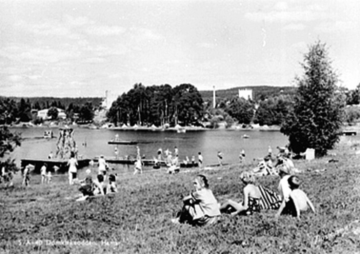 Anno Domkirkeodden, BADELIV PÅ DOMKIRKEODDEN OG HEDMARKSMUSEET, FLYTEBRYGGE, MYE FOLK I ROSENLUNDSVIKA