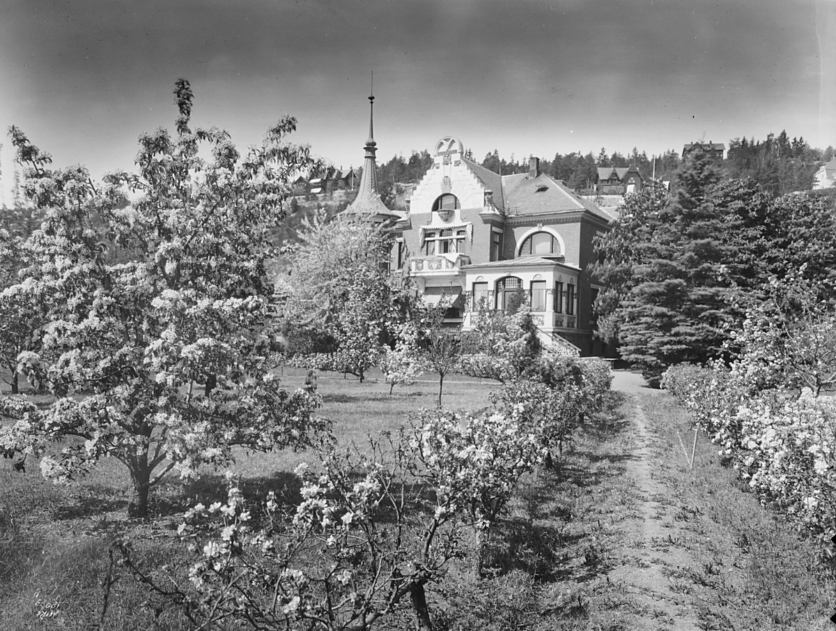 Anders Beer Wilse, Prot: Grøndahl villa