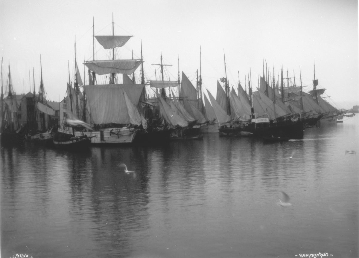Anders Beer Wilse, Prot: Hammerfest havn 24/7 1908