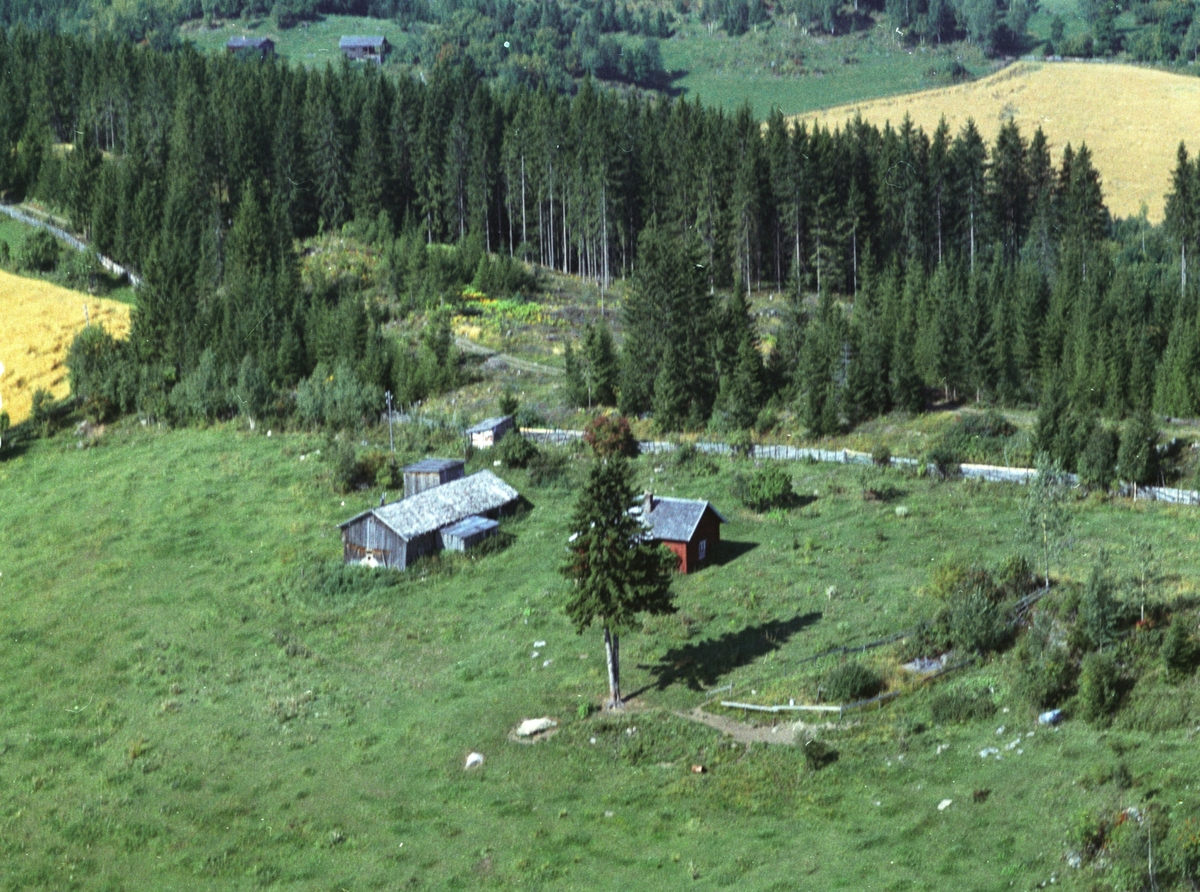 Widerøes Flyveselskap A/S, Flyfoto, ukjent husmannsplass, Ringsaker.