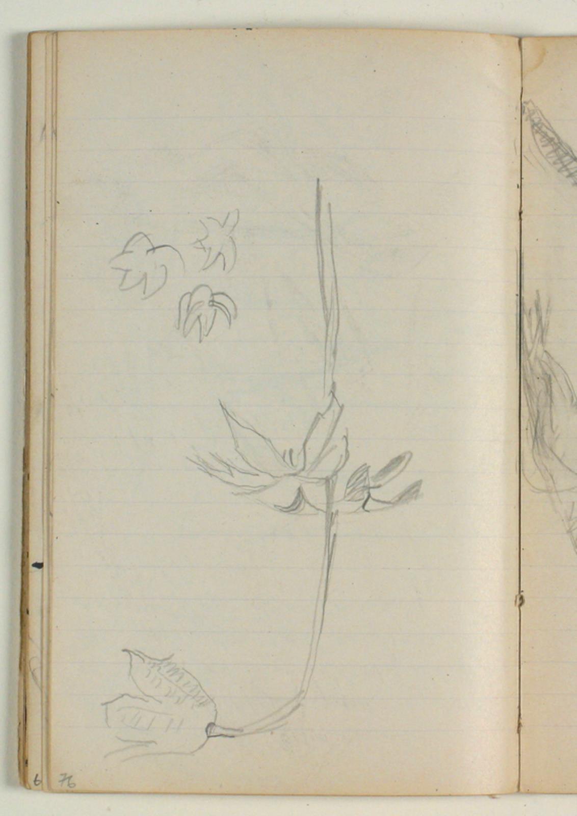 Niels Larsen Stevns, Blomsterstudie