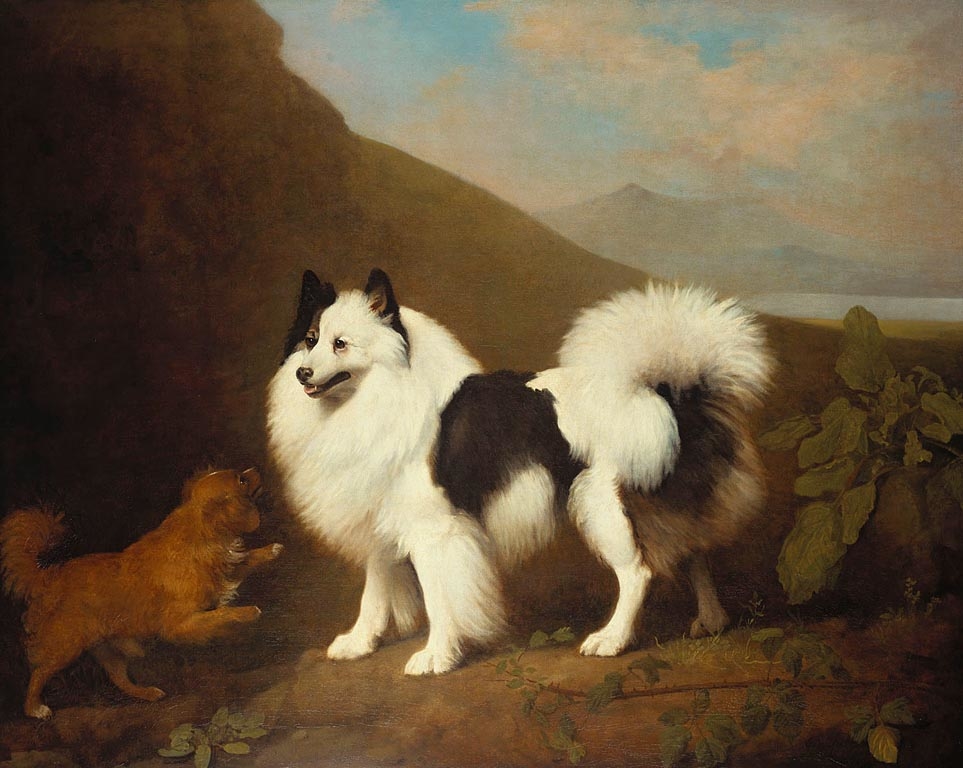 George Stubbs, Fino and Tiny