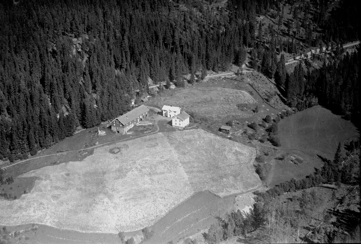 Anno Domkirkeodden, Flyfoto av Danielsborg gard, Næroset, Ringsaker.