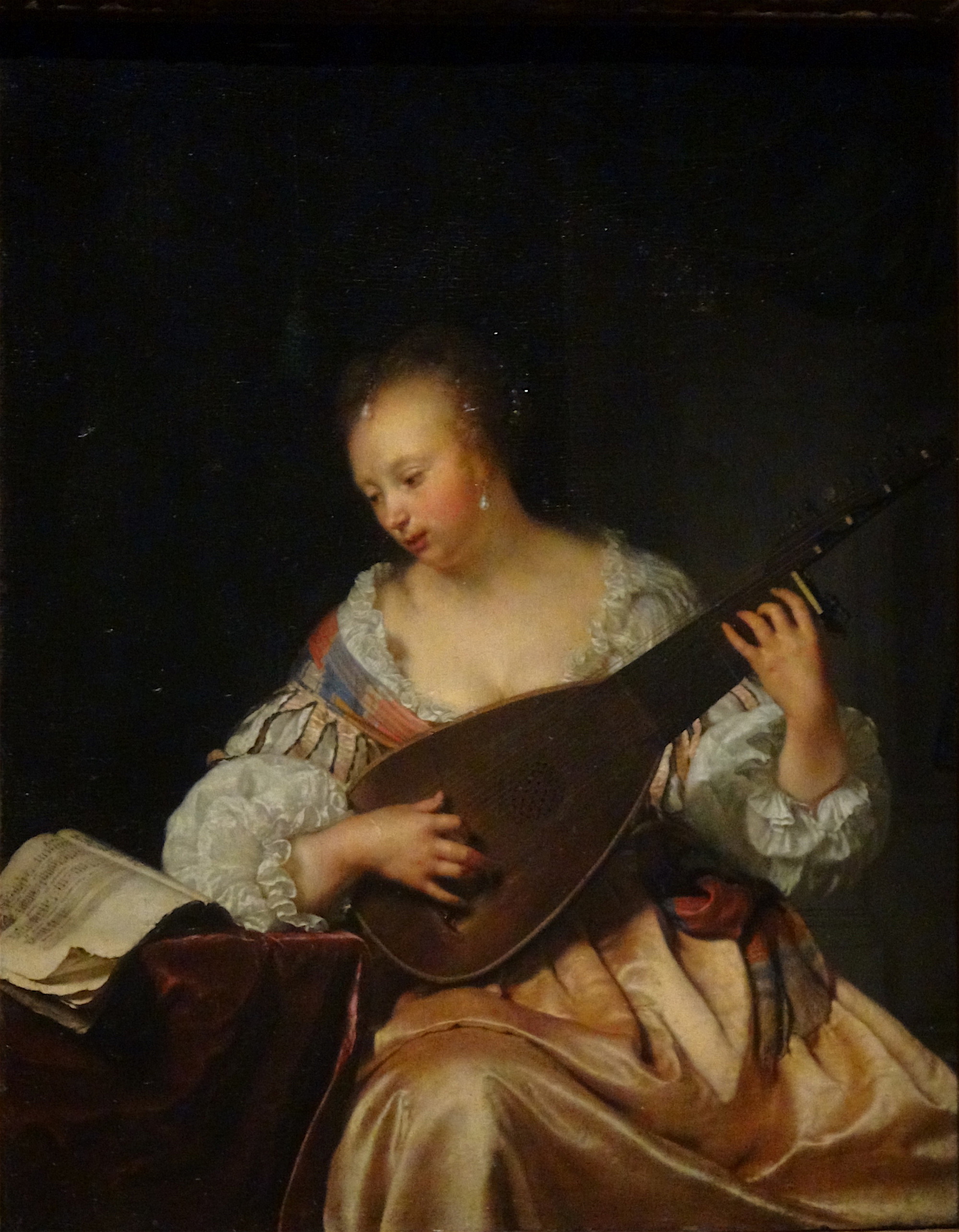 Frans van Mieris the Elder, A Woman Playing a Lute