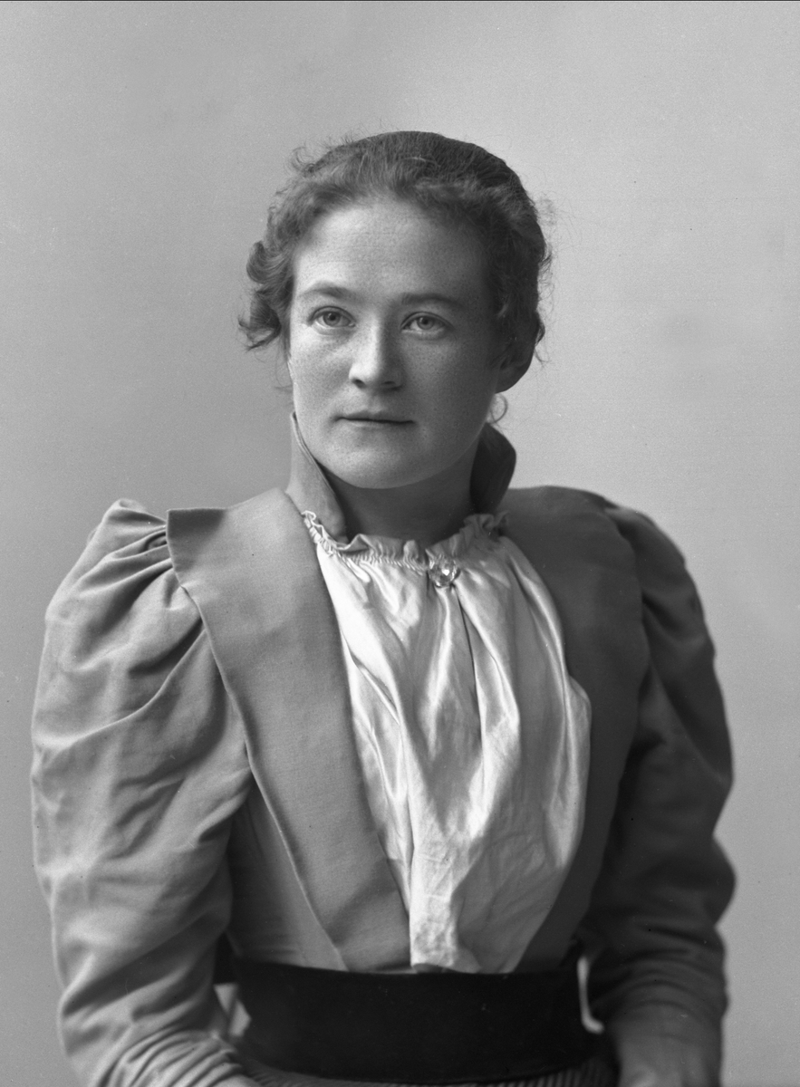 Gustav Borgen, NFB.29041