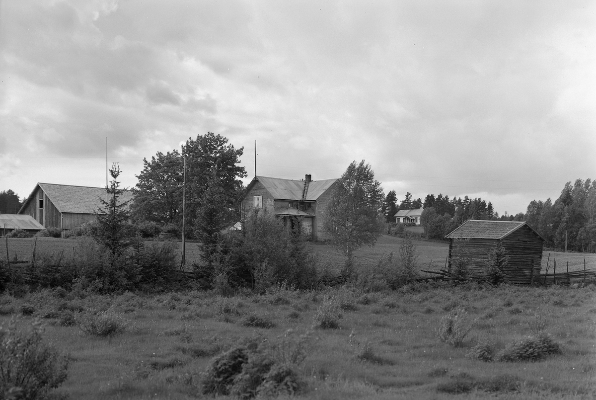 Anno Domkirkeodden, EKSTR: GARDSTUN, HOLSTUEN. Se Løtenboka, bind 2. Bygdeboka fra 1953, side 150