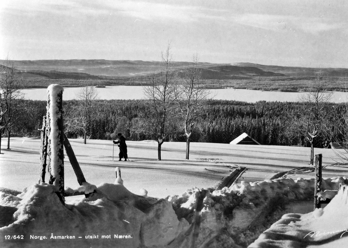 Anno Domkirkeodden, Åsmarka, utsikt mot Næra, Ringsaker.